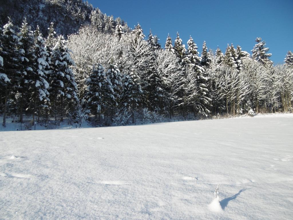 Ferienwohnung Zillertal Bacher Schlitters Esterno foto